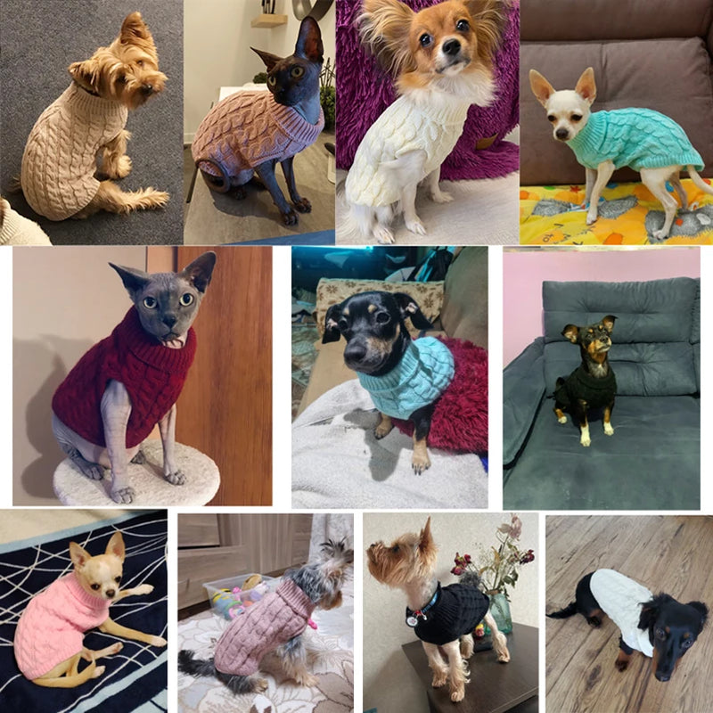 Suéter Inverno para Cães e Gatos.