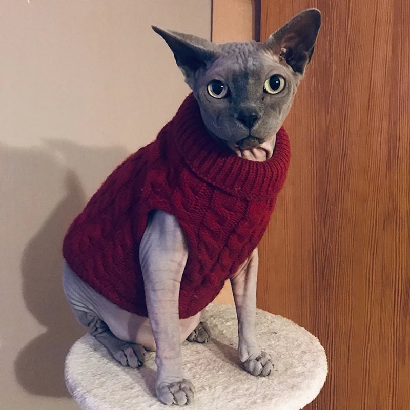 Suéter Inverno para Cães e Gatos.